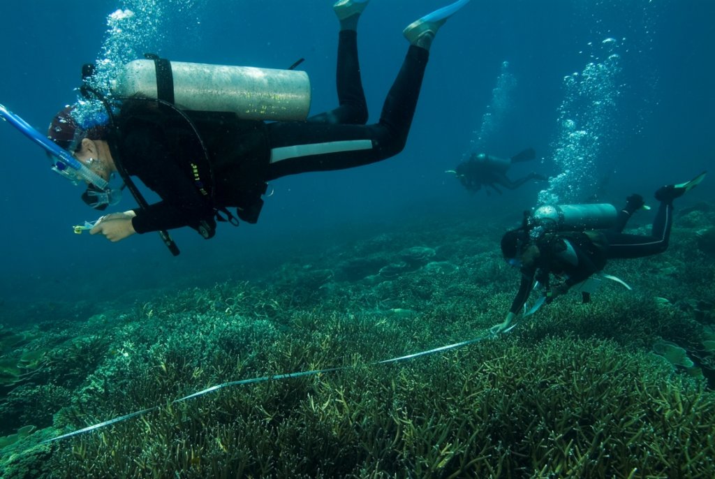 Coral Reef Monitoring Programme in Malaysia