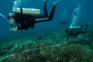 Coral Reef Monitoring Programme in Malaysia