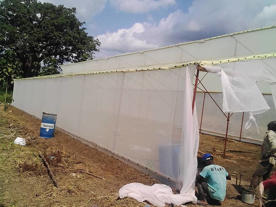 Greenhouse farming for 35 disabled young adults