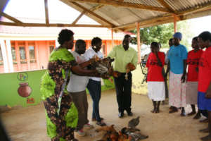 HCU staff presenting the chickens to families