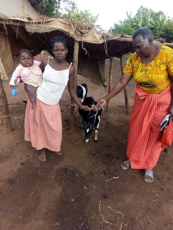 Support 90 disabled children through goat breeding