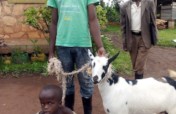 Support 90 disabled children through goat breeding