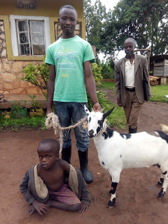 Support 90 disabled children through goat breeding