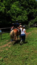 Exercising on the horse