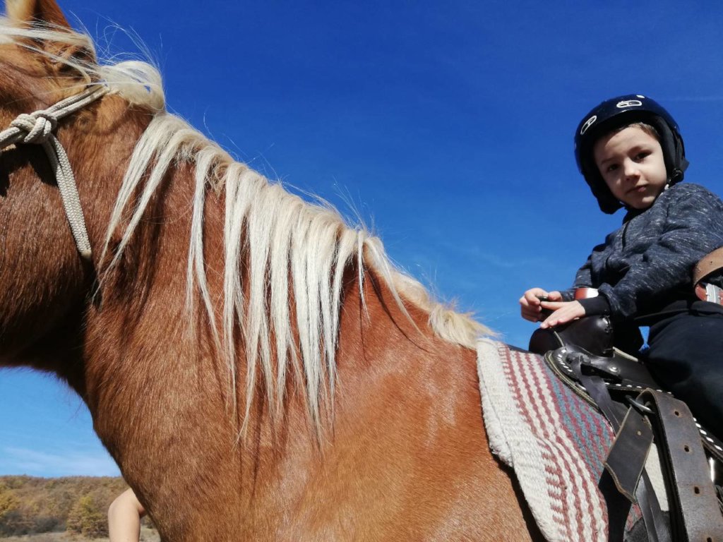 Build a Horse Therapy Centre for Disabled Children