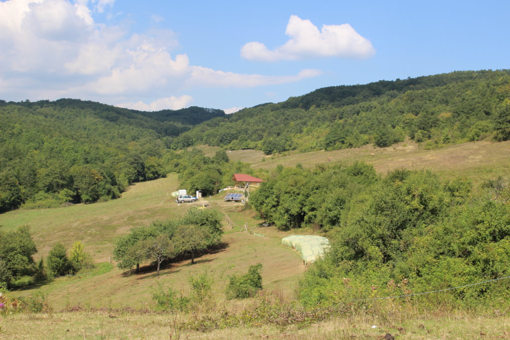 Four Ranch, the home of the Horse Therapy Centre