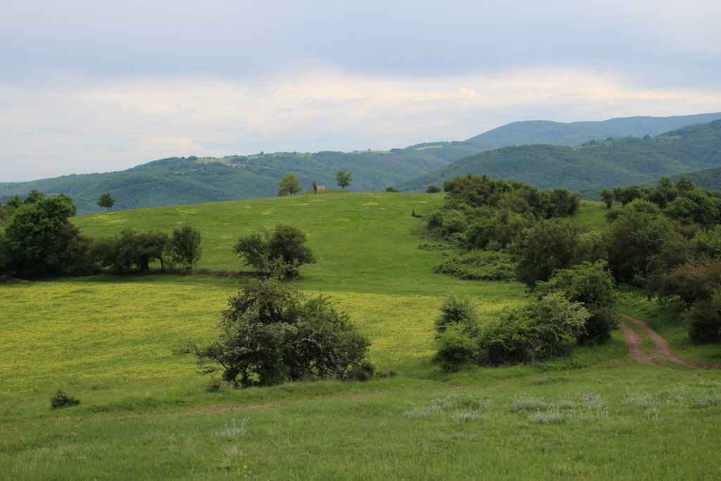 View close to the ranch