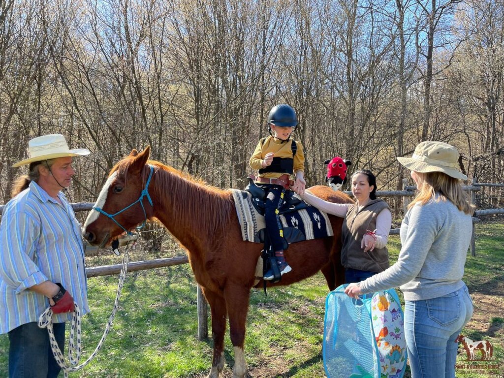 Build Bulgaria's Dedicated Horse Therapy Centre