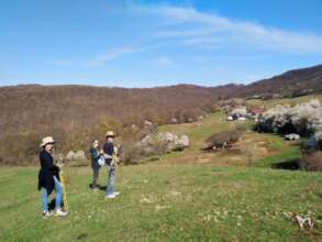 Volunteers moving temporary fence poles