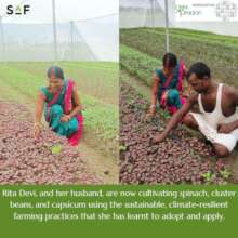 Crop Selection through knowledge & training