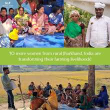 Transforming the lives of poor, women farmers