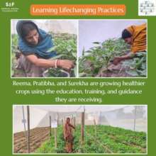 Incredible Life-Changing Farming Methods