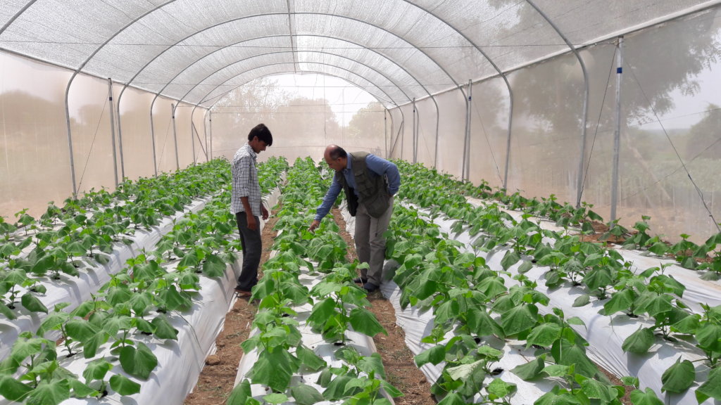 Greater Food Security for women farmers in India