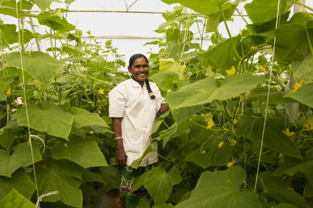 Greater Food Security for women farmers in India