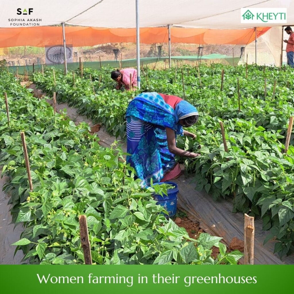 Greater Food Security for women farmers in India