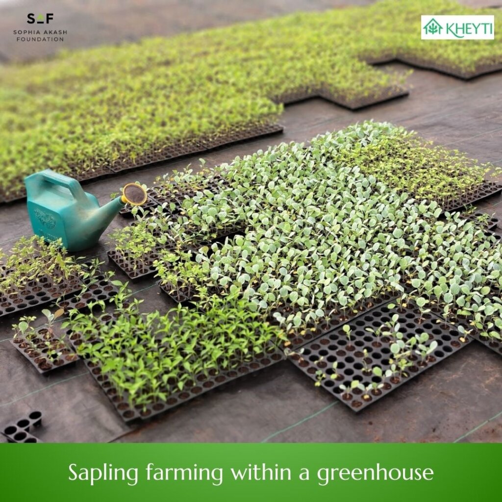 Greater Food Security for women farmers in India