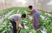 Food security for women farmers in rural India