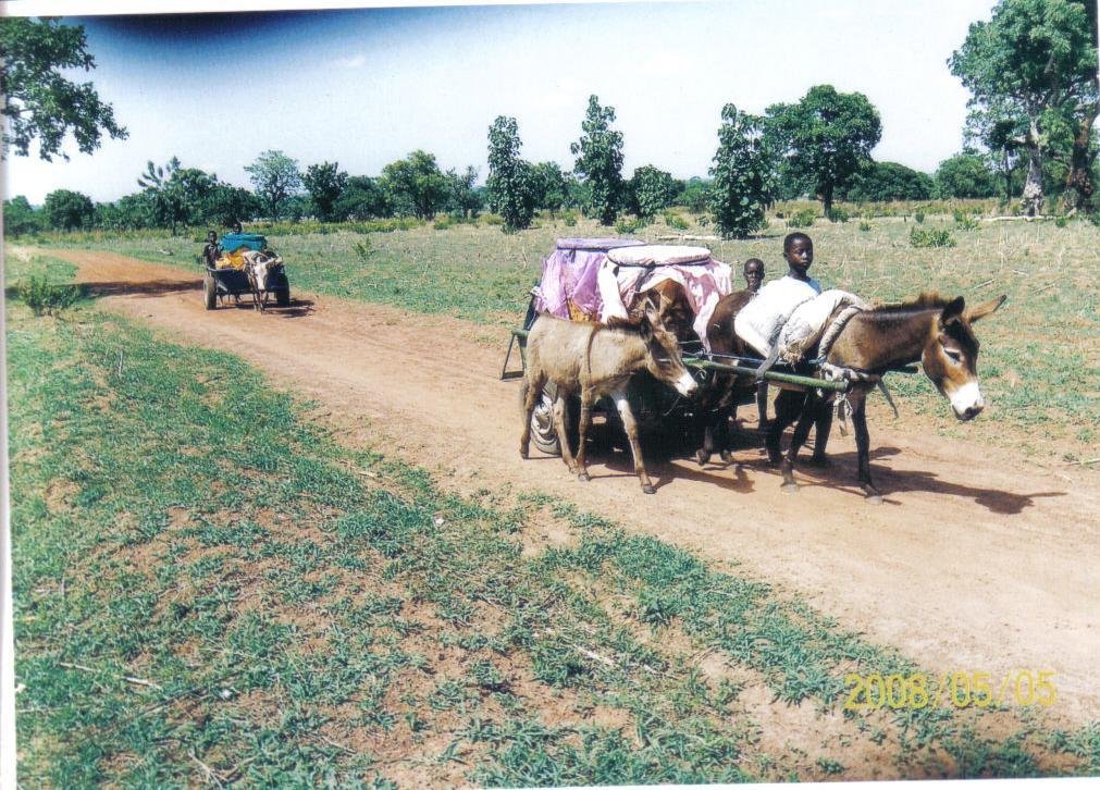 Save Ghanaian child laborers &trafficked children