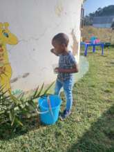 Children brush their teeth after breakfast