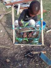 Planting seeds at home