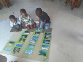 Land, air and water sorting