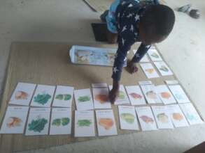 Learning the names of vegetables