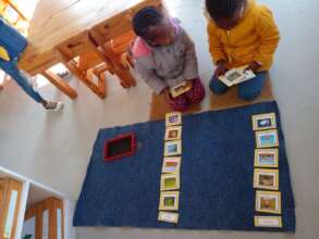 Animal and plant sorting