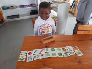 Veg and plant cards