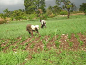 Man and woman planting