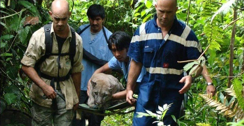 Rescue Orphaned & Injured Animals in the Amazon
