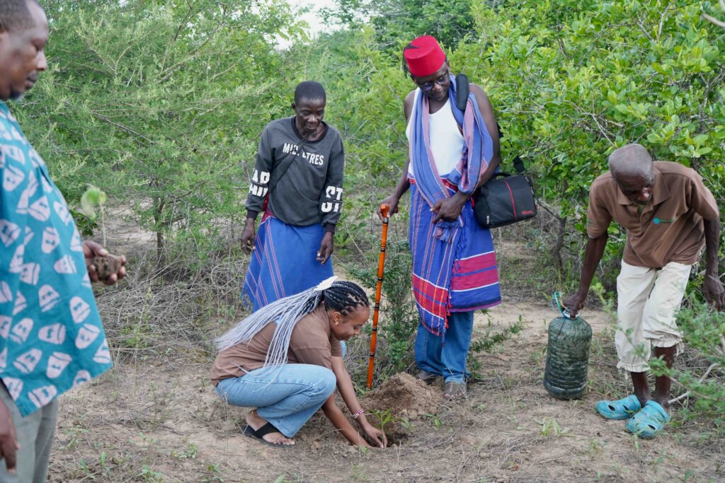Tree planting as part of the celebrations!