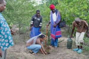 Tree planting as part of the celebrations!