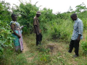 Stamp of the endangered African Blackwood/Ebony