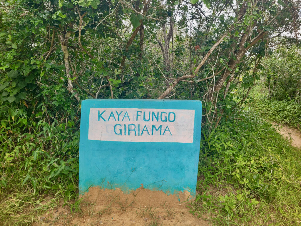 The Kaya Fungo beacon - 23.06.2023