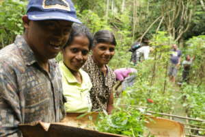 On the farm at Asokapura