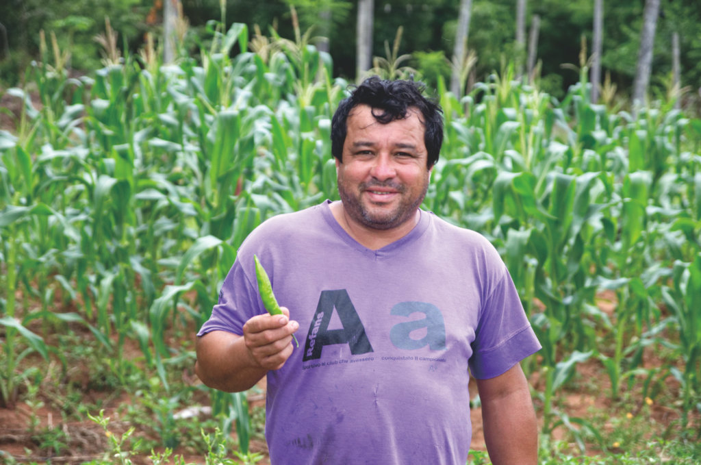 Che Ka'avoty: Assistance for Small Farmers