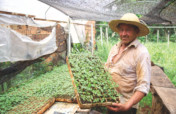 Che Ka'avoty: Assistance for Small Farmers