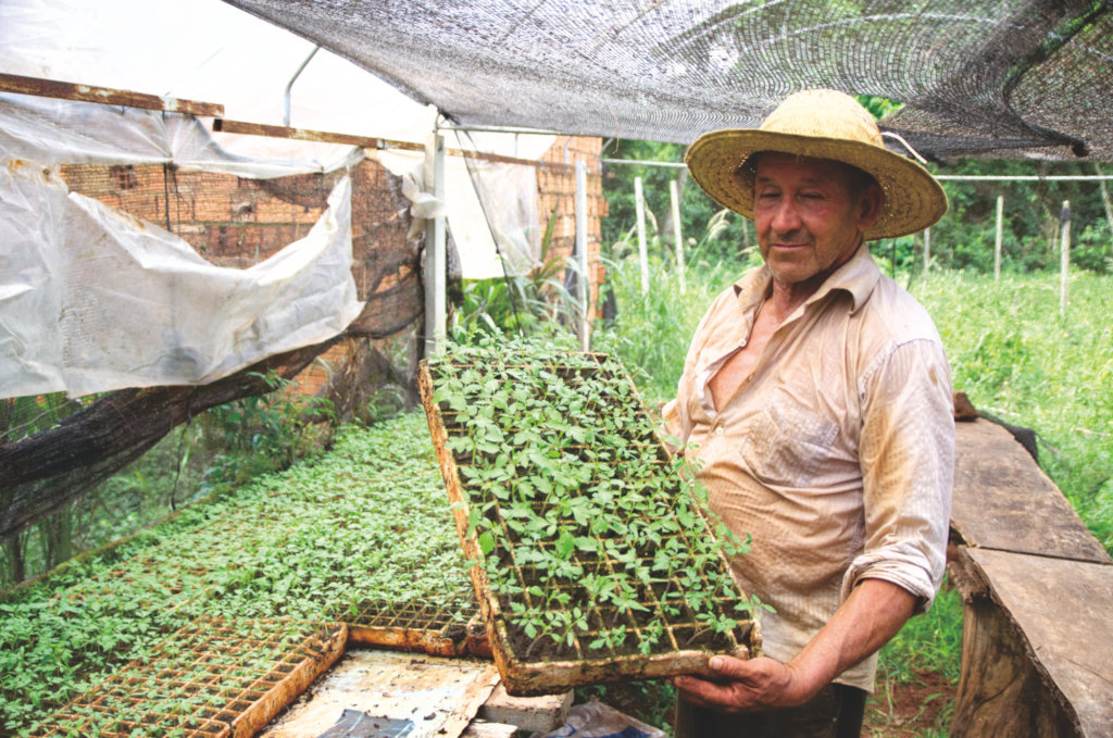 Che Ka'avoty: Assistance for Small Farmers