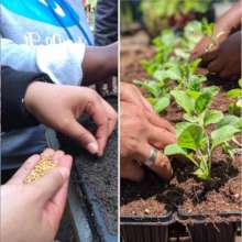 we learn about seed saving (and planting)