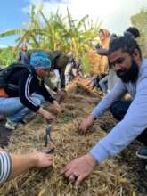 Alumni-led Community Food Gardening workshops