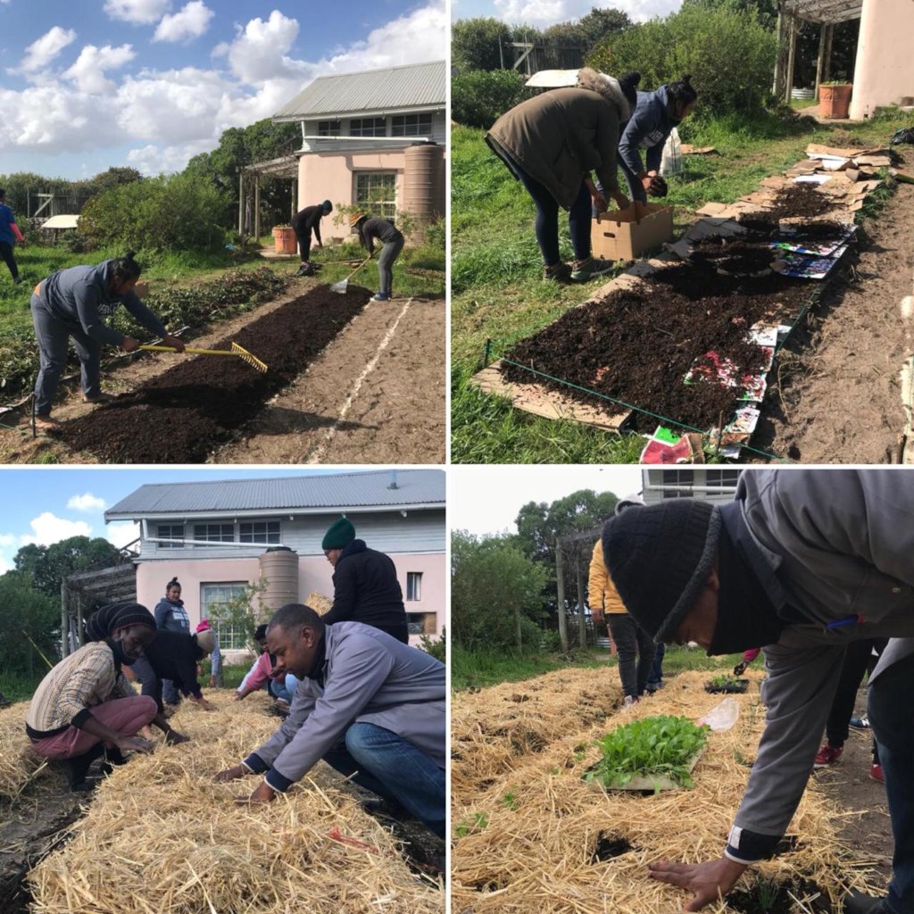 Help us to Grow the Green Army