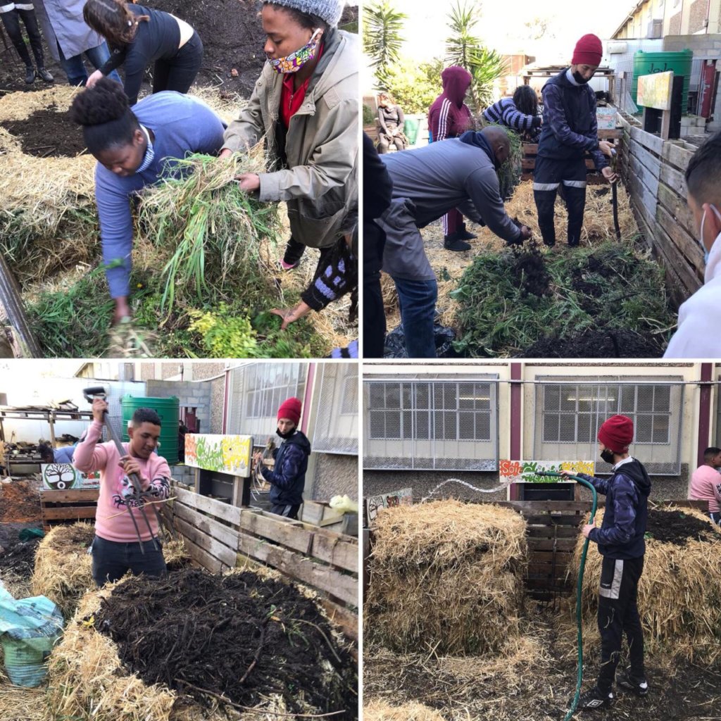 Help us to Grow the Green Army