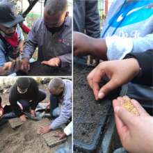 We're sowing seeds - in people.