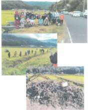 Community volunteers cooperating with PWJ