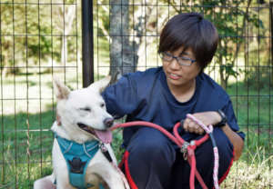 Handler looks after a rescued dog in Hiroshima