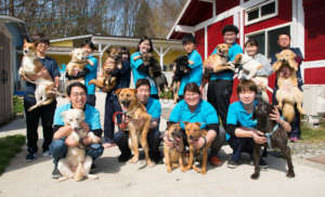 The Peace Wanko team poses with rescued dogs