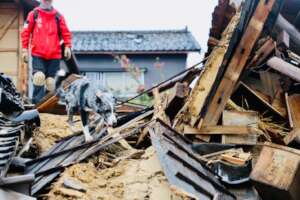 Search-and-rescue efforts on 1/3/23
