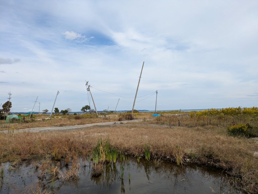 Empty lots and bent utility poles in Suzu