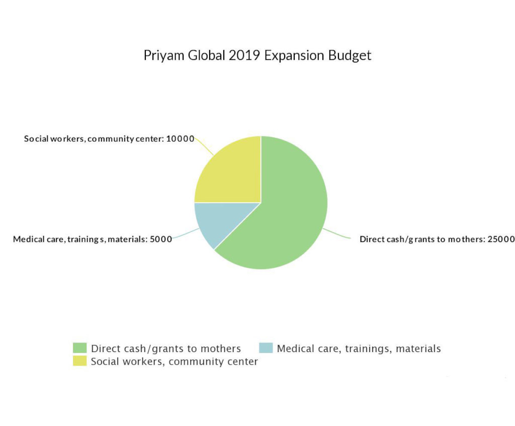 Expanding to Support Mothers in Rural India