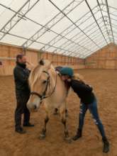 Equine Therapy for Autism Horse SenseAbility